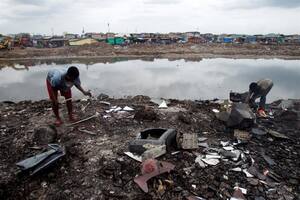 Advierten que se está consumiendo pescado contaminado por residuos electrónicos