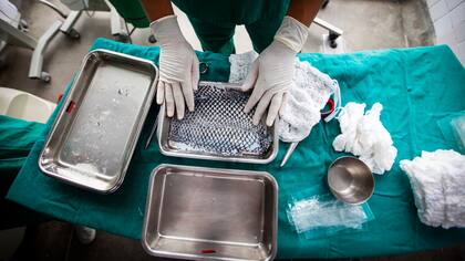 Un médico prepara una piel de pez de tilapia esterilizada para ser aplicada a pacientes con quemaduras en el Instituto Dr. José Frota en la ciudad de Fortaleza, Brasil