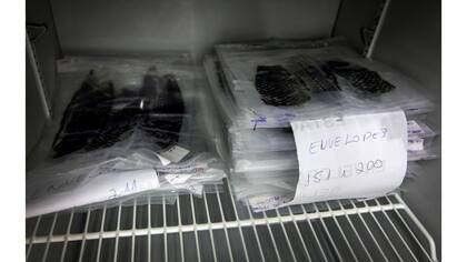 Packs de piel de tilapia esterilizada en el Centro de Desarrollo de Medicina de la Universidad Federal del Ceará en Fortaleza