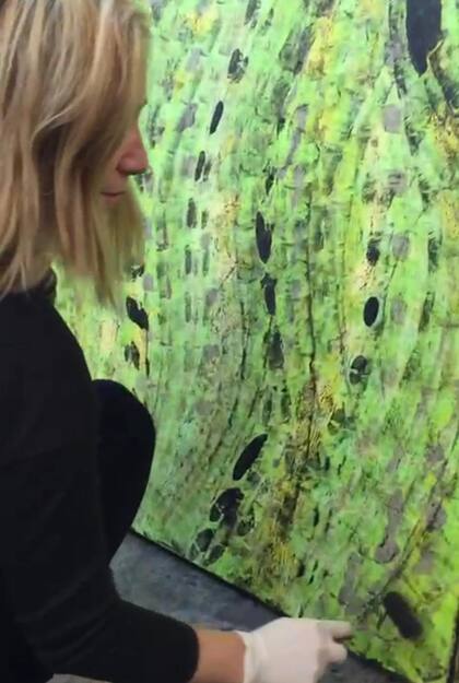 “Quería ser artista, pero como no se veía como una carrera que generara ingresos me recomendaron que estudie Diseño Gráfico”