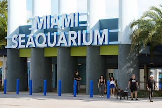 Querido y criticado Miami Seaquarium cierra sus puertas