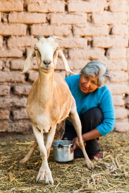 Ramona Sajama es pastora y quesera en Jujuy.