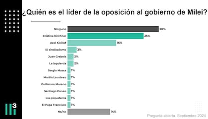 ¿Quién es el líder de la oposición al gobierno de Milei?