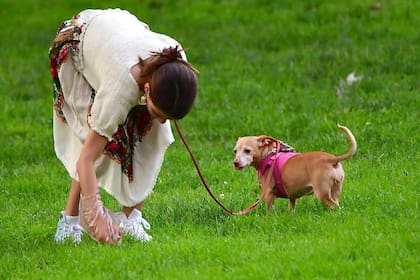 Correa corta o correa larga: cuál es la más conveniente para pasear a un perro