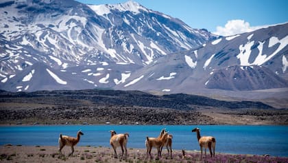 Quienes lleguen a la reserva natural podrán realizar desde senderismo y ciclismo hasta avistaje de fauna y flora
