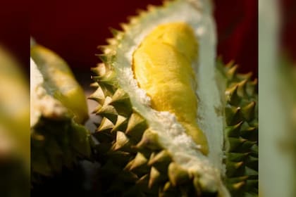 Quienes probaron esta fruta la describen como la más deliciosa (Foto Pexels)