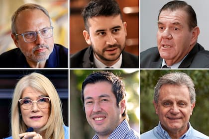 Quiénes son los candidatos confirmados
