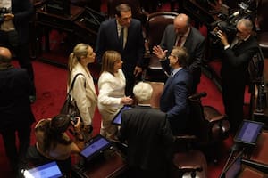 Quiénes son los senadores que juran este viernes en el Congreso