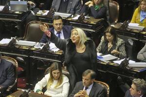 Elisa Carrió se fue furiosa del recinto: "La próxima rompo"