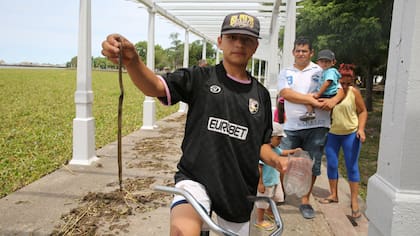 QUILMES. En la costa, los vecinos encontraron más serpientes