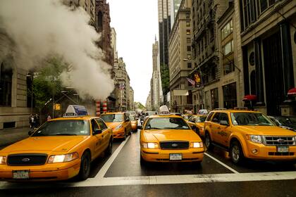 Quinta Avenida. Nueva York.