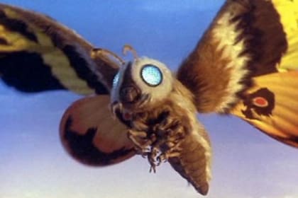 Quizás el más popular de todos los kaiju (sin contar a Godzilla), Mothra apareció en 11 películas del monstruo japonés ayudándolo a batallar contra la amenaza de turno después de su debut en solitario en la pantalla grande