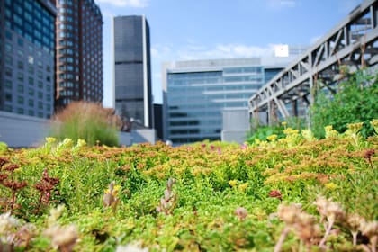 Uno de los desafíos urbanos ambientales que tenemos por delante es que las ciudades crezcan pero sin extender la mancha urbana
