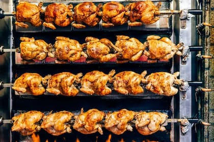 Quizás se preguntarán: "¿Por qué tantos pollos?"