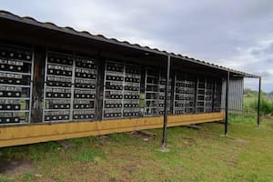 Parecía una granja de pollos, pero era una de minado de criptomonedas y la custodiaba un gendarme retirado