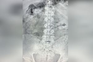 Tras ser condenados pidieron ser deportados para cumplir la pena en su país y la Justicia se los negó