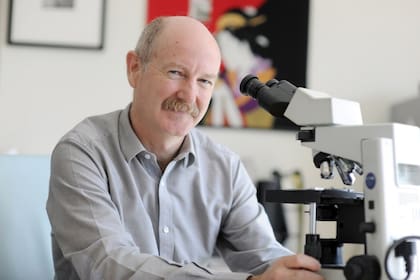 El neurocientífico Rafael Yuste, pionero cuando se trata de salvaguardar los derechos humanos comprometidos por las nuevas tecnologías