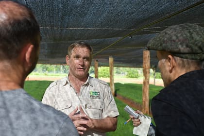 Rafael Scherer explicó cómo cruzan dos especies de pino. "Es como la ganadería", señaló (Martín Ghisio/INTA)
