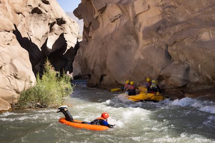 Rafting e hidrospeed (tablas individuales) por los rápidos del río Jáchal.