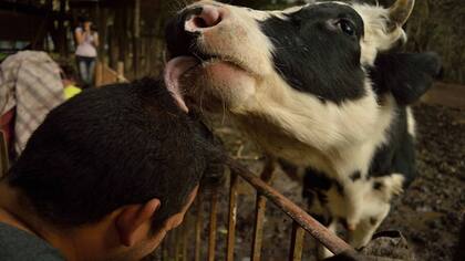 Ragnar y una muestra de cariño a su cuidador