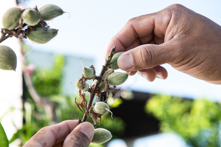 Fotos: Inés Clusellas