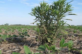 El momento exige una nueva filosofía para un grave problema de la agricultura