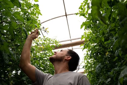 Ramiro Di Luzio: "Me siento muy afortunado, sobre todo de estar aprendiendo con herramientas de IA, robótica, incorporación de software, innovación, para tomar decisiones fundadas en datos”. Gentileza Sensei