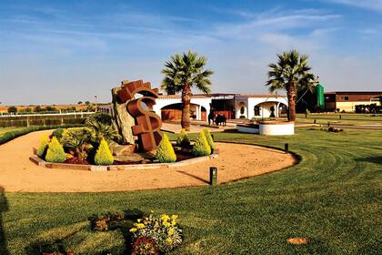 Los novios convirtieron la finca “La Alegría SR4” en un parque de diversiones en el que había una pista de autos chocadores