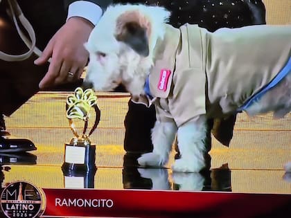 "Ramoncito" con su reconocimiento en el Martín Fierro Latino 2025