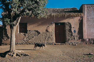 Vocablos camperos que se originaron en la navegación