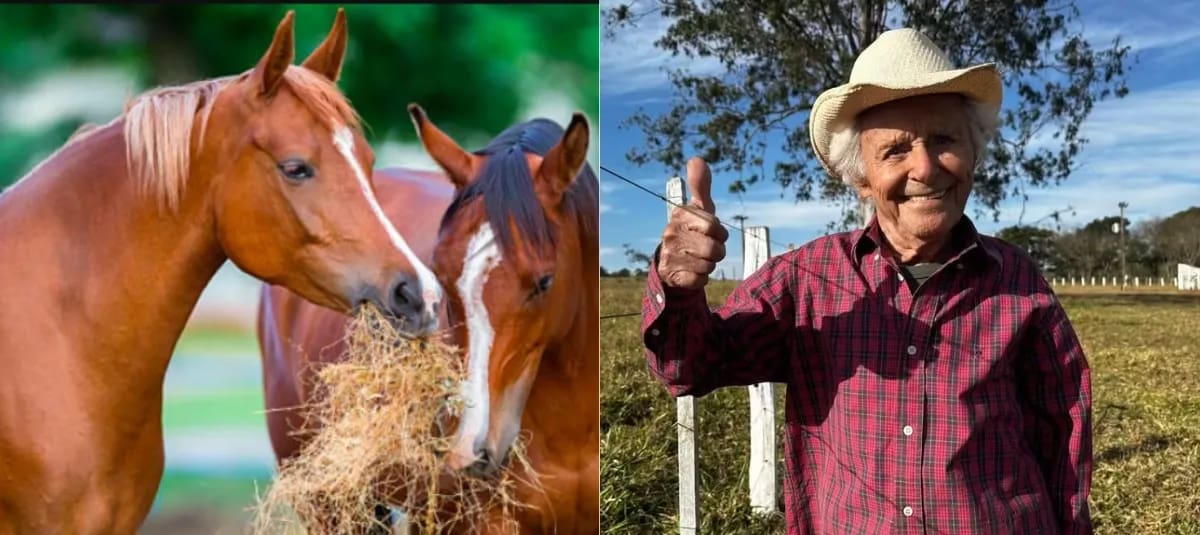 Tiene 102 años: pesca, anda a caballo, administra dos granjas y revela cinco pilares para la longevidad: ‘Todavía quiero quemar mucha leña’