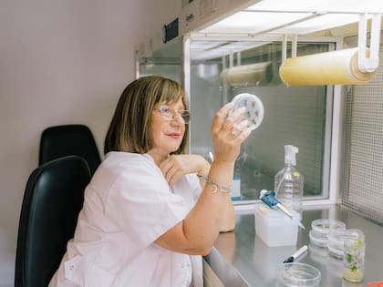 Raquel Chan en su laboratorio