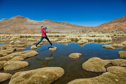 Raro paisaje de yaretas en una laguna, en el límite entre Salta y Jujuy, tras pasar el Viaducto La Polvorilla.