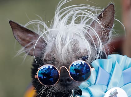 Rascal acompañó su look rockero con unos anteojos