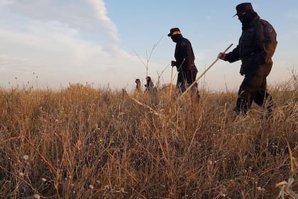 Las fuerzas federales no encontraron rastros de Facundo Astudillo Castro