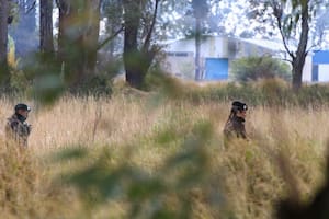 Una nueva pista guía a los investigadores hacia un descampado en la búsqueda de Agostina Vega