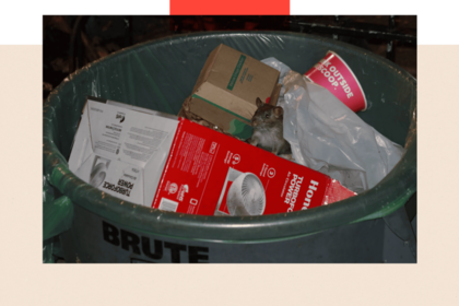 En Nueva York, los residentes ahora deben usar contenedores a prueba de ratas.