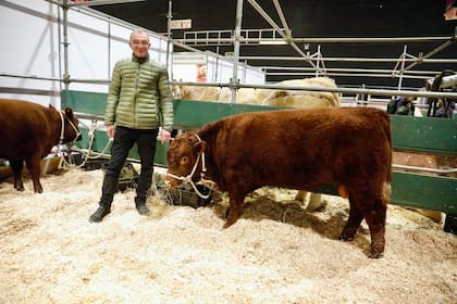 Raúl Bergese, ganadero en la zona de General Acha, es el presidente de la asociacion de criadores de la raza Devon