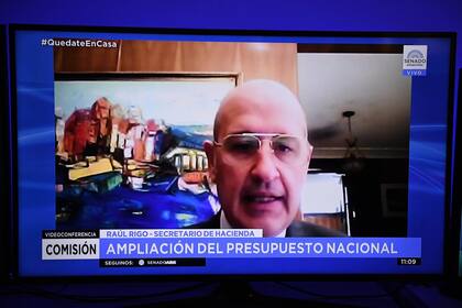 Raúl Rigo expuso en el Senado