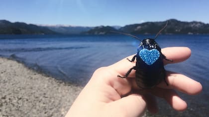 Ravioli en el lago Moquehue en Neuquén, Argentina