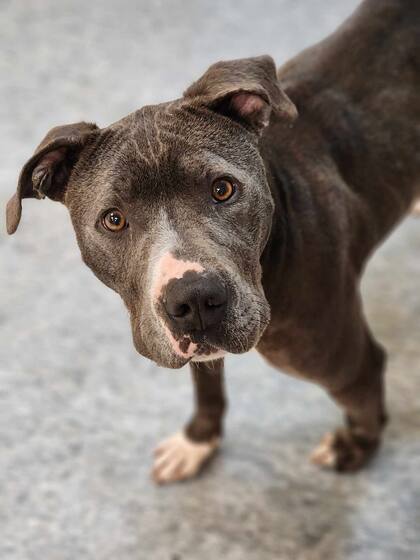 Raymond estaba hambriento y agotado.