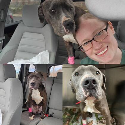 Raymond tuvo que ser internado de urgencia. Había contraído neumonía.