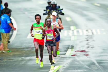 Receta: cuerpo óptimo, altura y alta intensidad.