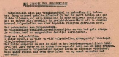 Receta de sopa de tulipán