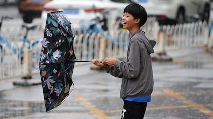 Recién en la edad adulta llega la estabilidad.