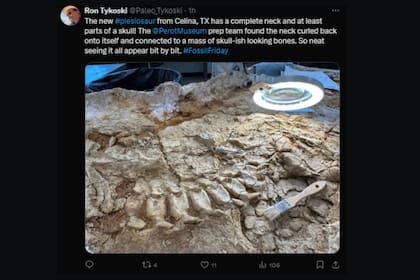 Reciente tuit de Ron Tykoski, curador de paleontología de vertebrados del Museo Perot