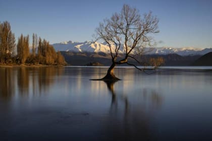 Recientemente, Jacinda Ardern anunció que en el país solo se inmunizará a la población con la vacuna de Pfizer-BioNTech