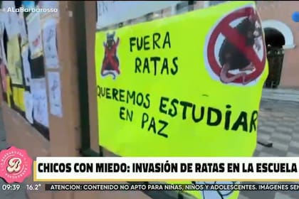Reclaman que hay presencia de roedores en una escuela del barrio porteño de Caballito (Captura video Telefe)