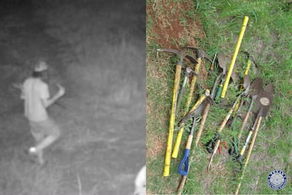 Recolectar artefactos históricos en zonas ilegales puede llevar a enfrentar hasta 30 días de prisión y multas de US$1000