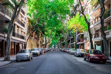 Recoleta se destaca hoy por el bajo costo por metraje, su ubicación privilegiada y la cercanía a instituciones de primer nivel.
